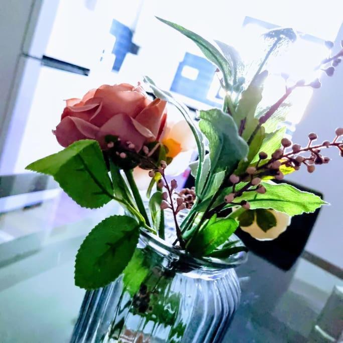 Beautiful Modern Apartment On Wick Lane London Eksteriør bilde